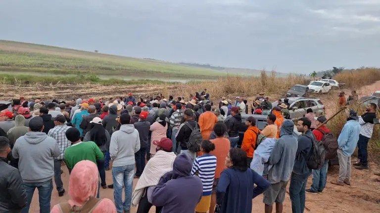 Næsten en halv milliard kroner investeres af pensionskasser i udplyndring af Brasilien for&nbsp;soja